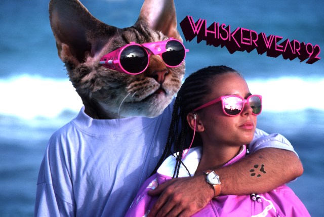 Ad for Whisker Wear Sunglasses, 1992