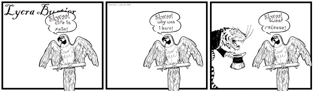 lb_sweet-release-parrot