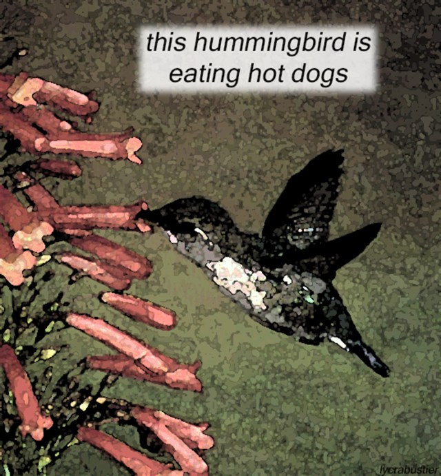2 hummingbird paint
